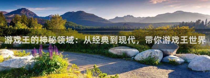 鼎点娱乐主管：游戏王的神秘领域：从经典到现代，带你游戏王世界