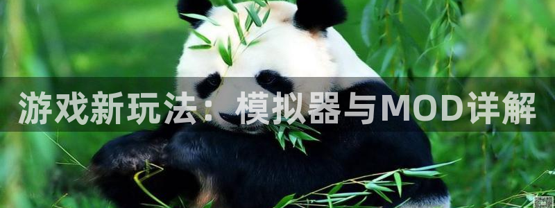 鼎点娱乐