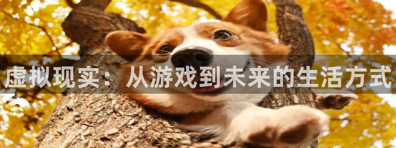 鼎点娱乐平台官网客服电话：虚拟现实：从游戏到未来的生活方式