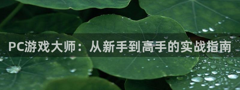 鼎点娱乐平台登录：PC游戏大师：从新手到高手的实战指南