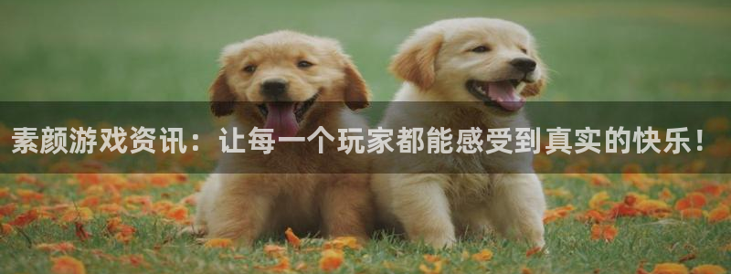 鼎点娱乐手机网页版登录：素颜游戏资讯：让每一个玩家都能感受到