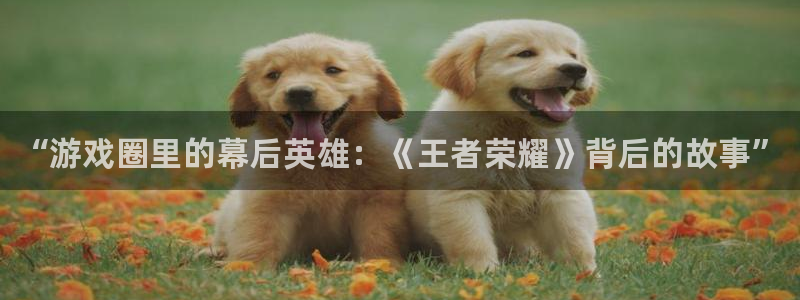 鼎点娱乐平台官网入口：“游戏圈里的幕后英雄：《王者荣耀》背后