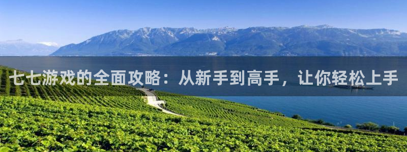 鼎点娱乐集团：七七游戏的全面攻略：从新手到高手，让你轻松上手
