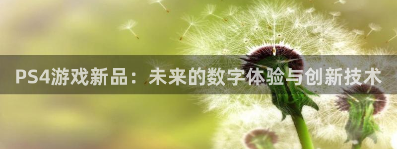 鼎点娱乐咨询