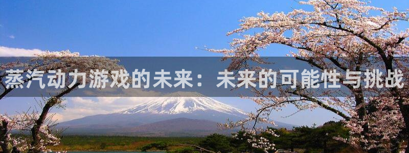 鼎点娱乐线路测试