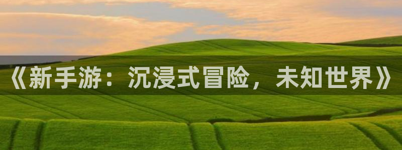 鼎点娱乐平台官方网站：《新手游：沉浸式冒险，未知世界》