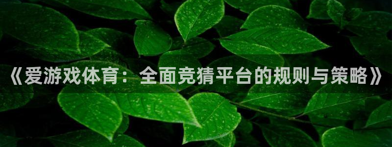 鼎点娱乐线路测试：《爱游戏体育：全面竞猜平台的规则与策略》