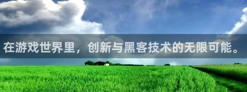 鼎点娱乐2首页登录：在游戏世界里，创新与黑客技术的无限可能。