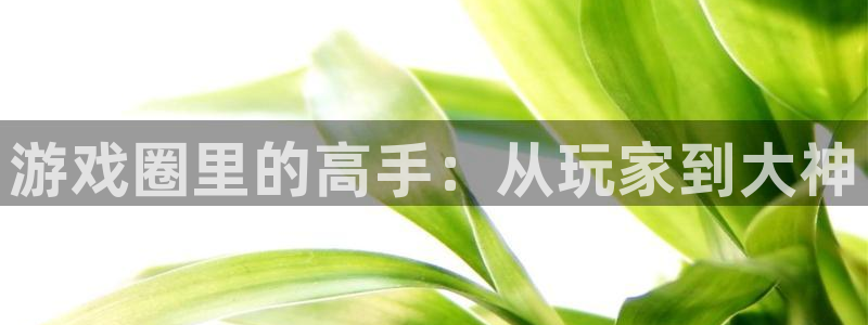 鼎点娱乐开户测速：游戏圈里的高手：从玩家到大神