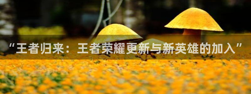 鼎点娱乐科技：“王者归来：王者荣耀更新与新英雄的加入”