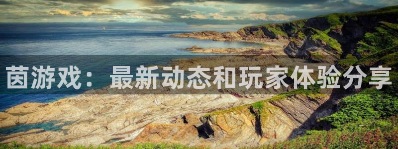 鼎点娱乐注册：茵游戏：最新动态和玩家体验分享