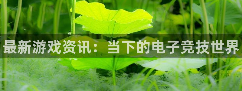 鼎点娱乐开户测速：最新游戏资讯：当下的电子竞技世界