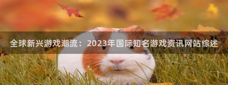 鼎点娱乐Ii：全球新兴游戏潮流：2023年国际知名游戏资讯网