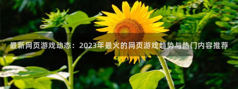 鼎点娱乐登陆：最新网页游戏动态：2023年最火的网页游戏趋势