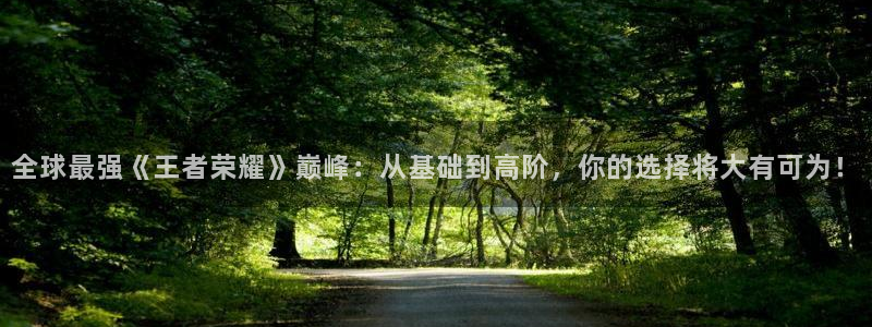 鼎点娱乐手机网页版登录：全球最强《王者荣耀》巅峰：从基础到高