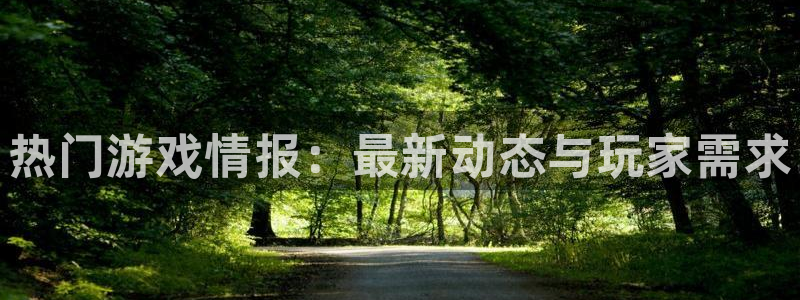 鼎点娱乐平台登录入口：热门游戏情报：最新动态与玩家需求