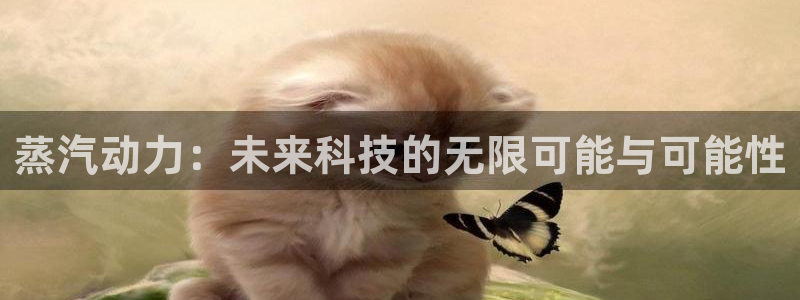 鼎点娱乐官网地址查询：蒸汽动力：未来科技的无限可能与可能性