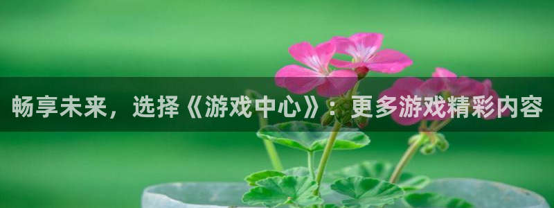 鼎点娱乐来.3.3.4.8.2版本更新内容：畅享未来，选择《